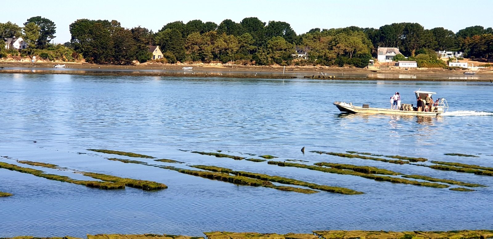 Maisons au bord de la ria d'Étel, dans le Morbihan